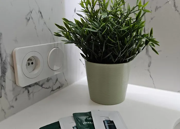 Klimatyzowana, Stylowa Kawalerka, Centrum, 아파트 포즈난